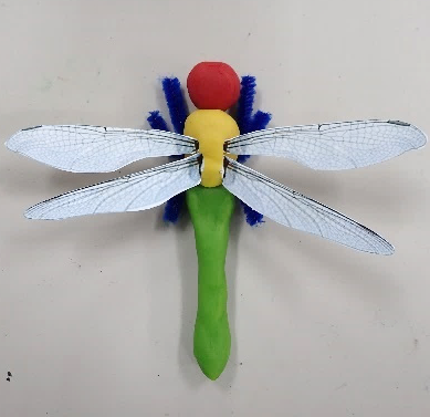 昆虫模型の作製による昆虫の体のつくり お茶の水女子大学 理科教材データベース